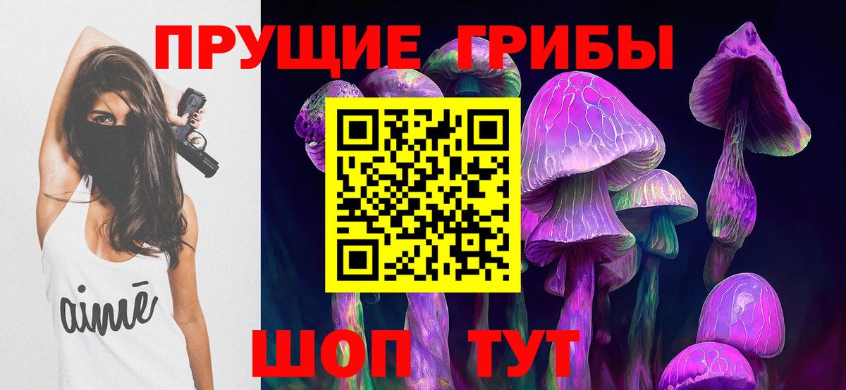 где купить наркоту  Галлюциногенные грибы GOLDEN TEACHER  Галлюциногенные грибы GOLDEN TEACHER  Вход с VPN  Железногорск 