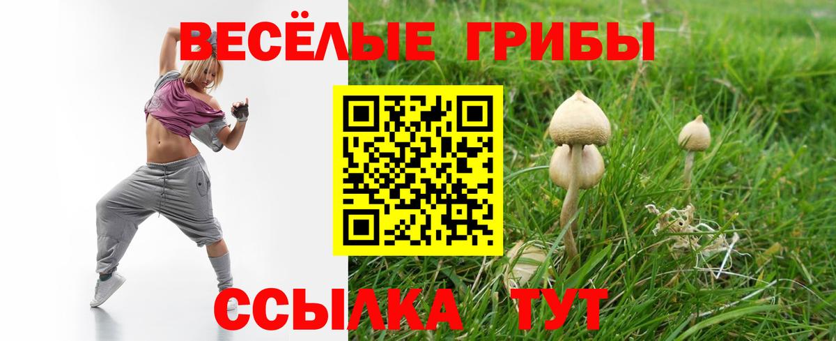 Галлюциногенные грибы Magic Shrooms Железногорск